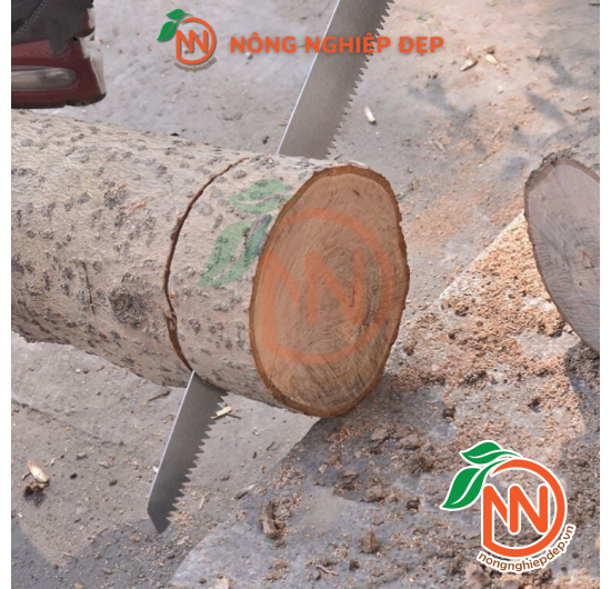Cưa Cầm Tay TOP 350mm - Cán Nhựa - Bộ Kèm Bao
