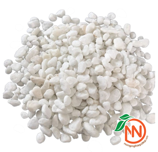 Sỏi Trắng Trang Trí - Nhiều Size Kích Thước