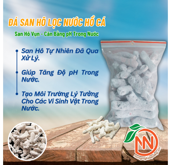 San Hô Lọc Nước Hồ Cá - San Hô Vụn - Cân Bằng pH Trong Nước