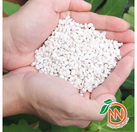 Đá Trân Châu Perlite - Đá Trân Châu Trắng