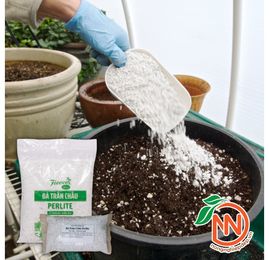 Đá Trân Châu Perlite - Đá Trân Châu Trắng