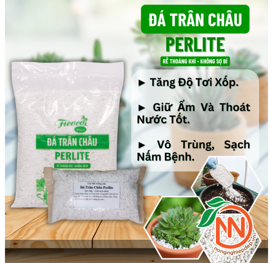 Đá Trân Châu Perlite - Đá Trân Châu Trắng