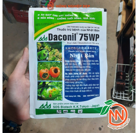 Daconil 75WP - Thuốc Trừ Bệnh Nhật Bản Chính Hiệu