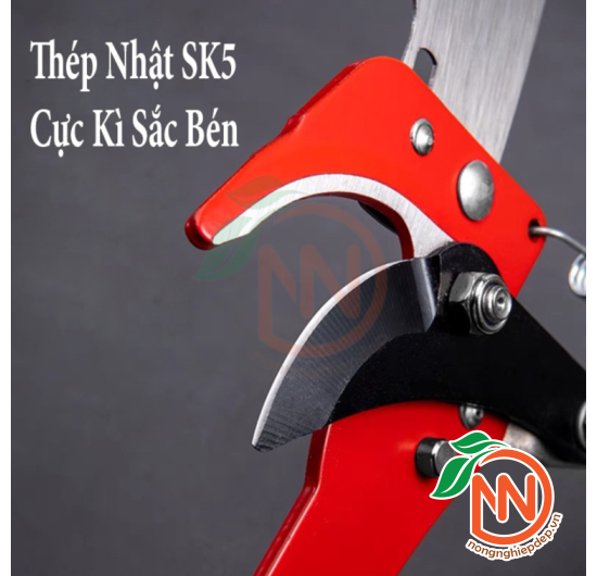 Đầu Kéo Cắt Cành Trên Cao RHB