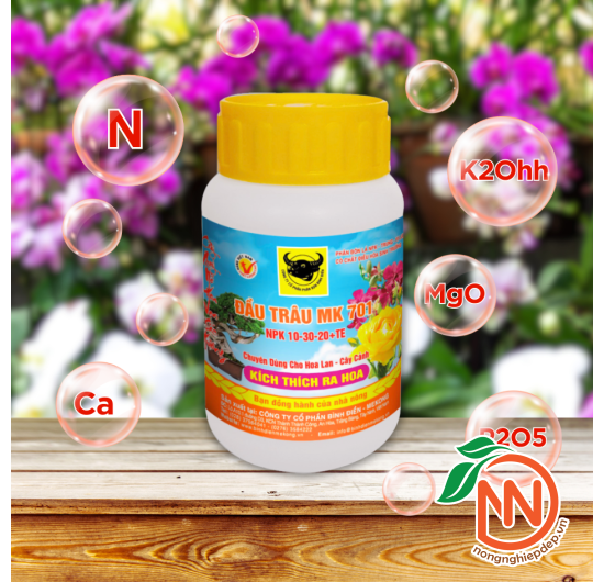 Đầu Trâu MK 701 (10-30-20) - Kích Thích Ra Hoa