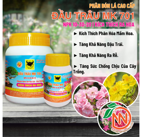 Đầu Trâu MK 701 (10-30-20) - Kích Thích Ra Hoa
