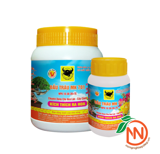 Đầu Trâu MK 701 (10-30-20) - Kích Thích Ra Hoa