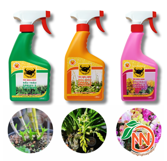 Đầu Trâu Spray 2