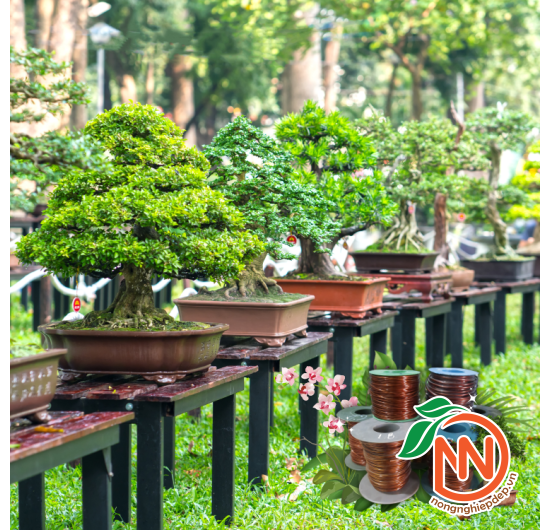 Dây Nhôm Mạ Đồng Uốn Cây Bon Sai Và Hoa Lan