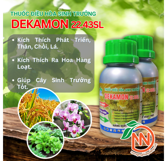 DEKAMON 22,43SL – Điều Hòa Sinh Trưởng Cây Trồng