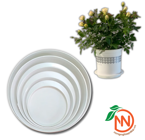 Đĩa Nhựa Tròn Lót Chậu Cây - Đế Nhựa Lót Chậu 