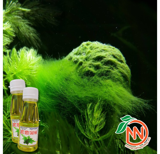Diệt Rêu Tảo Hại Nuphar - Thuốc Diệt Trừ Rêu Hại