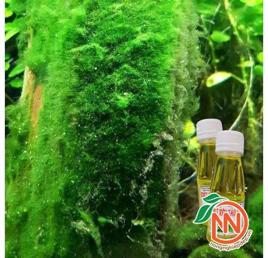 Diệt Rêu Tảo Hại Nuphar - Thuốc Diệt Trừ Rêu Hại