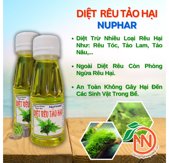 Diệt Rêu Tảo Hại Nuphar - Thuốc Diệt Trừ Rêu Hại