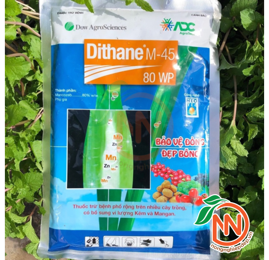 Dithane M45 80WP- Thuốc Trừ Nấm Bệnh