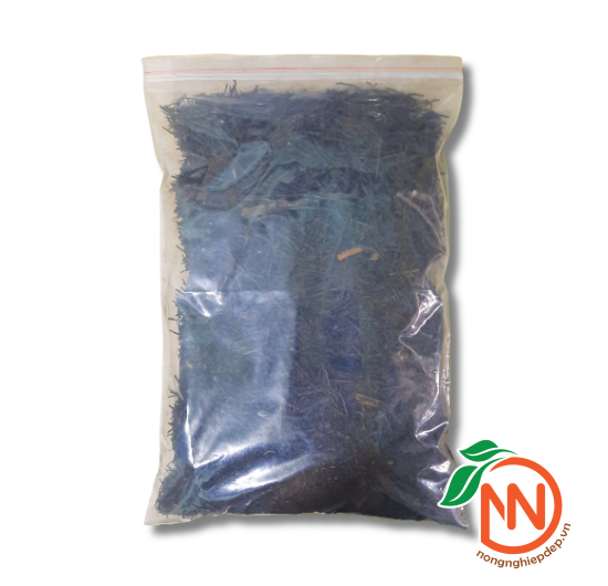 Dớn Cọng NewZiTa - Giá Thể Trồng Lan