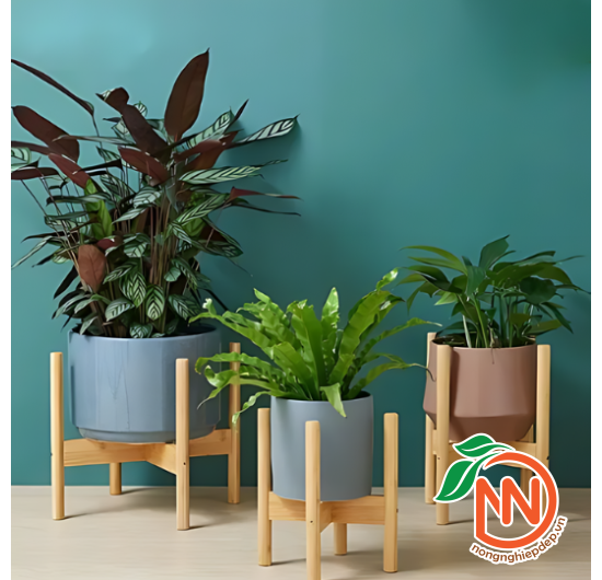 Đôn Gỗ Để Chậu Cây - Đôn Gỗ Kê Chậu Chân Tròn