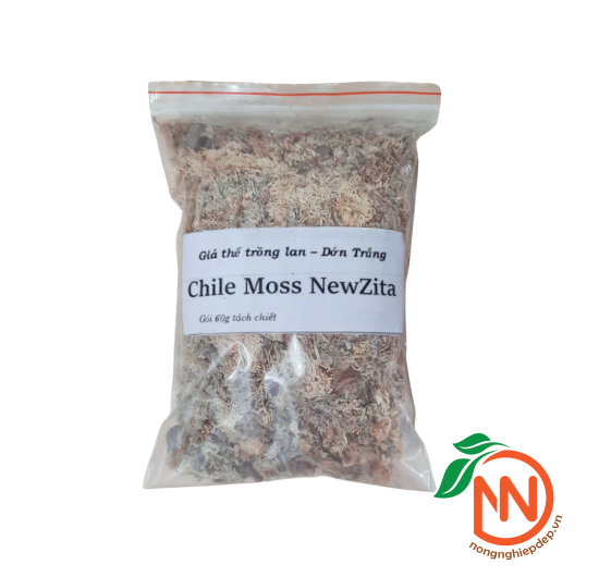 Dớn Trắng Chile Moss NewZiTa - Giá Thể Trồng Lan