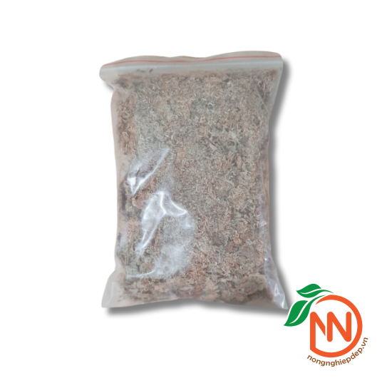 Dớn Trắng Chile Moss NewZiTa - Giá Thể Trồng Lan