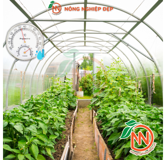 Nhiệt Ẩm Kế Anymetre TH600E Hàn Quốc