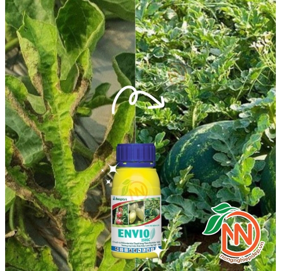 Thuốc Trừ Bệnh ENVIO 250SC