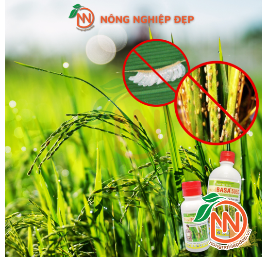 Thuốc Đặc Trị Rầy Excel Basa 50EC - Nước Trong, Ít Hôi, Phun Rầy Chết Nhanh