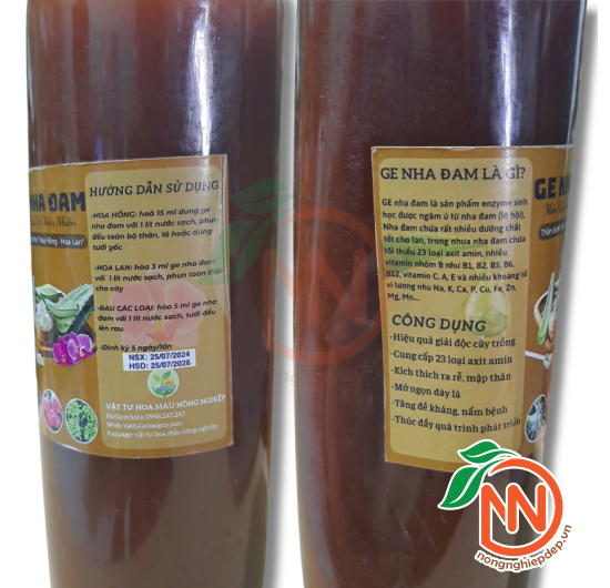 Ge Nha Đam - Enzyme Sinh Học Hoàn Toàn Từ Thiên Nhiên