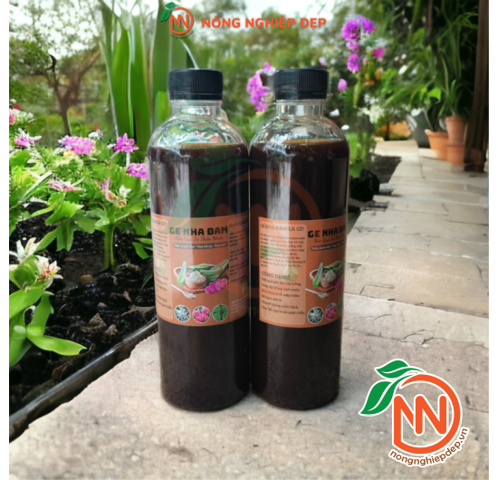Ge Nha Đam - Enzyme Sinh Học Hoàn Toàn Từ Thiên Nhiên