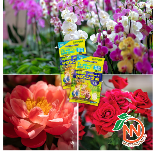 Phân Tan Chậm Nhật HYPONEX MEGAMP K 6-40-6-15