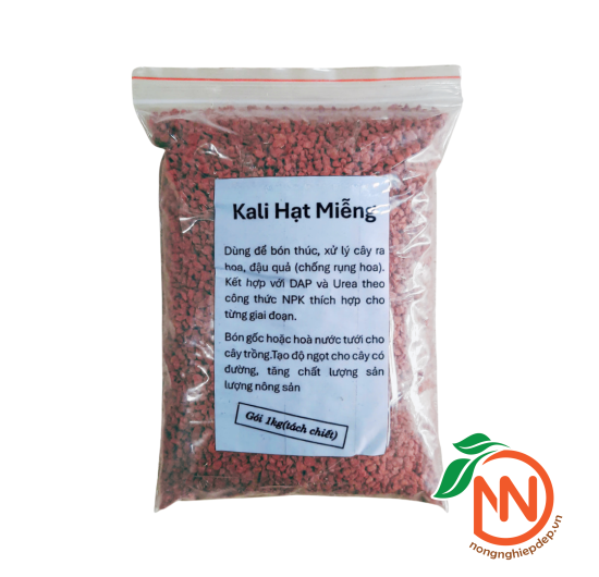 Phân Bón Kali Hạt - Tăng Đậu Quả Và Độ Ngọt Quả