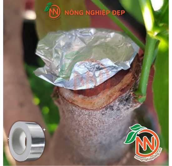 Keo Bạc Dán Mặt Cắt - 5cm