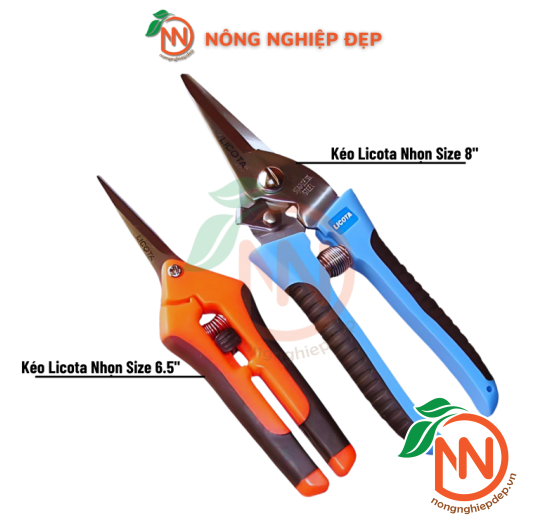 Kéo Cắt Cành Mũi Nhọn Cao Cấp Licota 