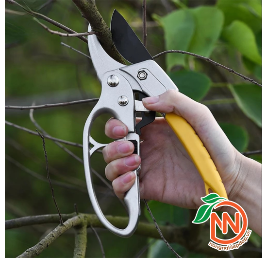 Kéo Cắt Cành Cộng Lực SK5