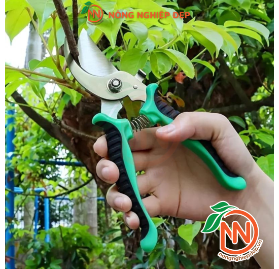 Kéo Cắt Cành Lưỡi Cong Τορ