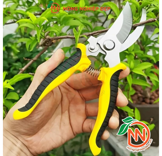 Kéo Cắt Cành Lưỡi Cong Τορ