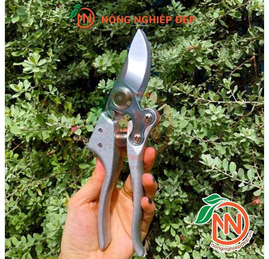 Kéo Cắt Cành Cộng Lực Lưỡi Thép SK5 Nhật Bản | Kéo Lưỡi Cong SK5 Nhật