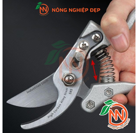 Kéo Cắt Cành Cộng Lực Lưỡi Thép SK5 Nhật Bản | Kéo Lưỡi Cong SK5 Nhật