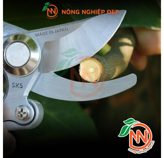 Kéo Cắt Cành Cộng Lực Lưỡi Thép SK5 Nhật Bản | Kéo Lưỡi Cong SK5 Nhật