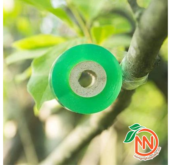 Băng Keo Ghép Cành, Ghép Cây Tự Hủy