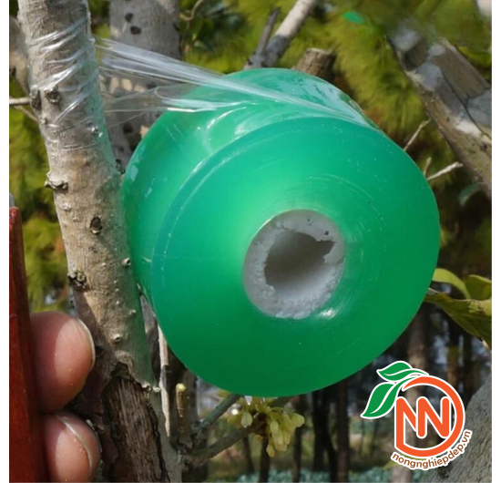 Băng Keo Ghép Cành, Ghép Cây Tự Hủy