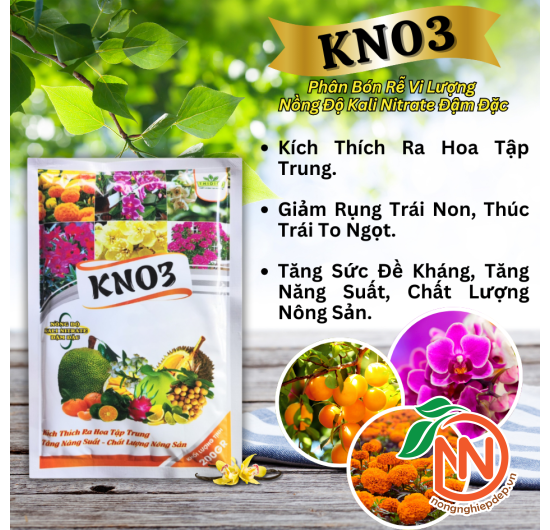 Phân bón KNO3 THIDI | Kích Hoa - Giảm Rụng Trái