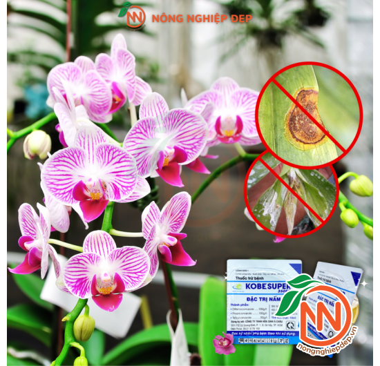 Thuốc Trừ Bệnh KOBE SUPER 350EC