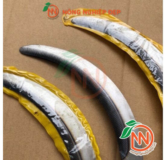 Liềm Răng Cưa Cán Đỏ Cao Cấp