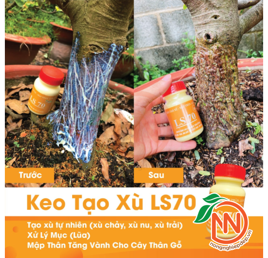 Keo Tạo Xù, Xử Lý Mục (Lũa) LS 70 | Mập Thân Tăng Vành Cho Cây Thân Gỗ