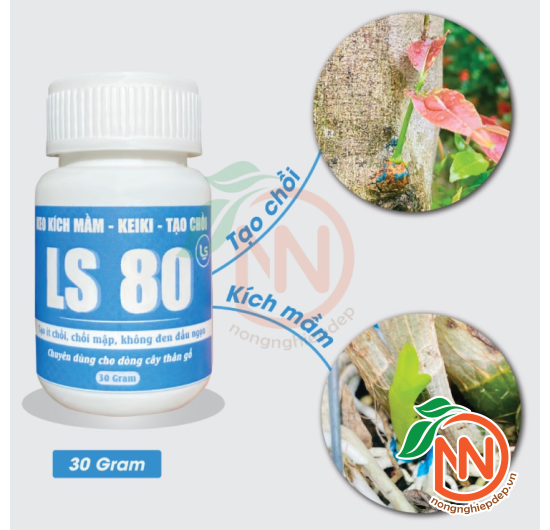 Keo LS80 Kích Mầm, Kích Chồi - Keo Kích Mầm Cây