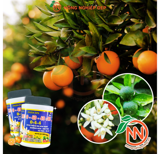 Phân Bón Lá NPK LT-0-40-40+TE | Kích Thích Ra Hoa, Dưỡng Hoa, Đậu Trái