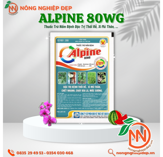 Alpine 80WG