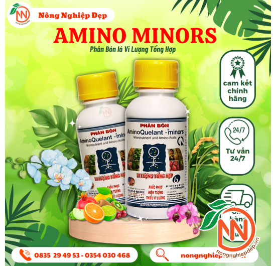 Amino Minors - Phân Vi Lượng Tổng Hợp