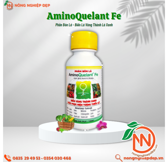 Phân Bón AminoQuelant-Fe (Sắt) | Trị Bệnh Vàng Lá