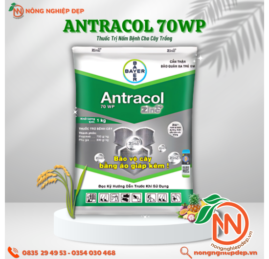 Thuốc Trừ Nấm Bệnh Antracol 75WP - Áo Giáp Kẽm Cho Cây
